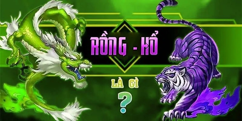 Cách Chơi Rồng Hổ Online Chi Tiết Cho Người Mới Bắt Đầu