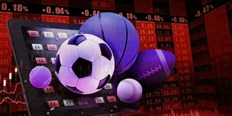 Đặt cược tại các sảnh thể thao được hỗ trợ