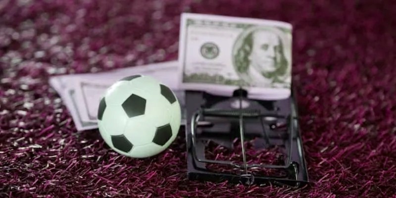 Phân tích và giải thích vì sao Level Ball được nhiều người lựa chọn